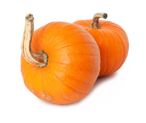 two pumpkins closeup on white background.