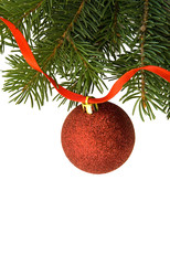 Christmas background whis red sphere and Pine branch
