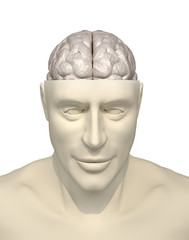 Intelligence concept