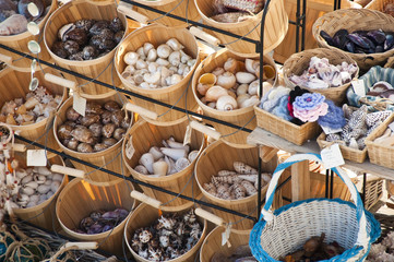 Sea shells
