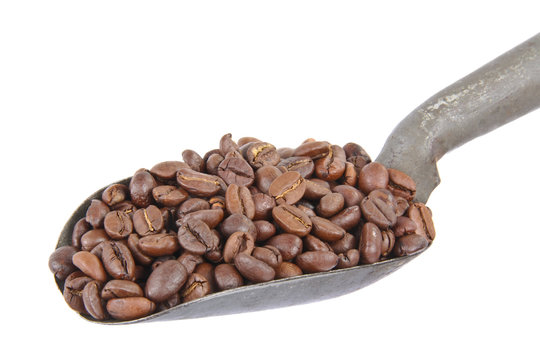 Coffee beans, isolated
