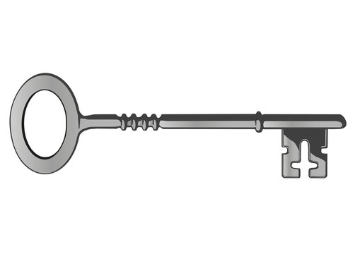 Vector a metal key from the lock