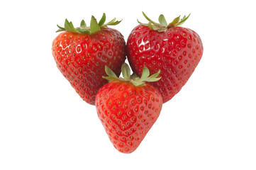 Erdbeere, Strawberry, Fragaria