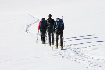 Equipe de corde sur le glacier