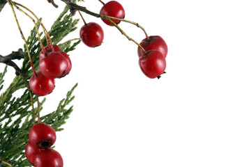 Christmas background