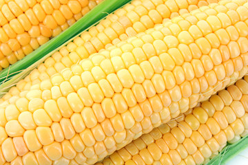 Yellow corns