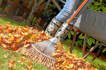 Herbstlaub