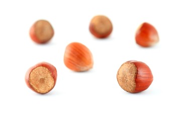 Hazelnuts against a white background