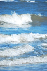 Fototapeta premium Welle