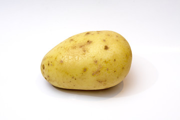 Potato