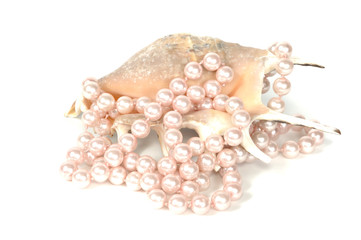 Seashell and pearl necklace