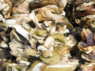 dry mushrooms