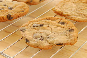 Fresh Baked Cookies