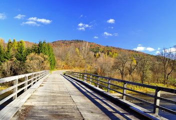 Fototapeta premium Bieszczady