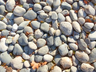 Stones and autumn leaves, background