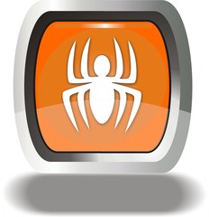 bouton araignée
