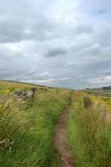 Fototapeta premium Countryside path Derbyshire