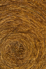 A closeup of a hay bale