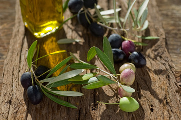 olive branch with oil-ramo olive e olio