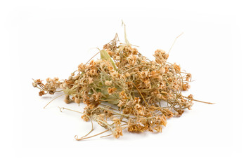 Dried Linden Flowers