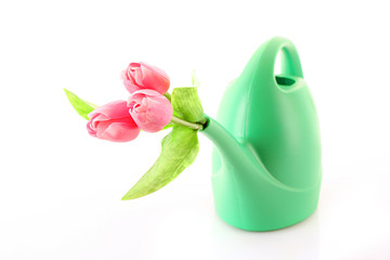 Bailer with flower isolated on white