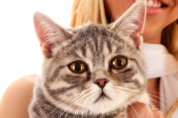 Young cat with woman isolated on white