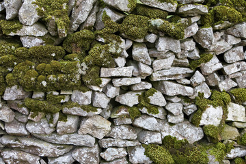 Dry Stone Wall with Moss