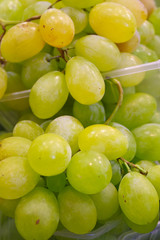 Uvas