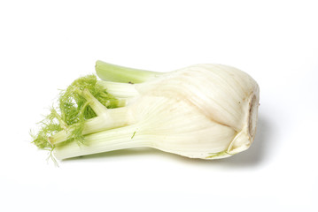 Fennel