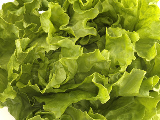Lettuce