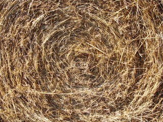 Background Texture of a Bale of Hay