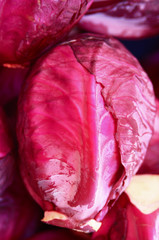 Red Cabbage