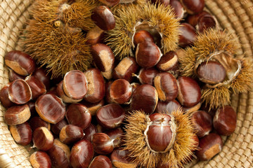 edelkastanien im korb