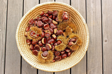korb mit kastanien