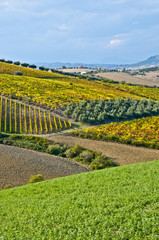 campagna abruzzese 3