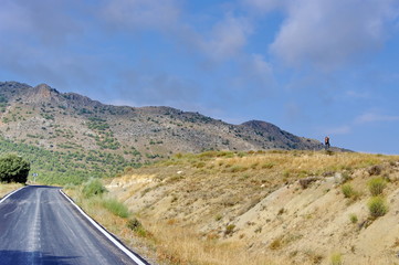 Route dans la campagne andalouse