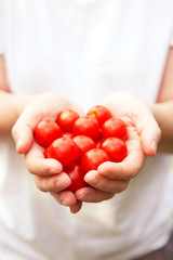 Hands Holding Ripe Vine Tomatoes