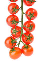 Cluster of cherry tomatoes on the white