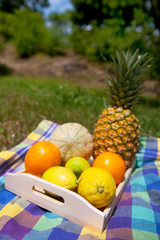 still life with summer fruit