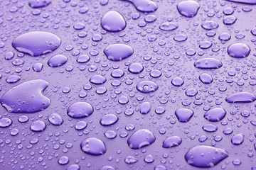 Violet water drops background