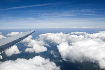 Fototapeta premium Flying High