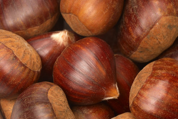 Obraz premium Chestnuts