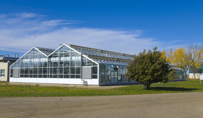 Naklejka premium Agricultural Green House