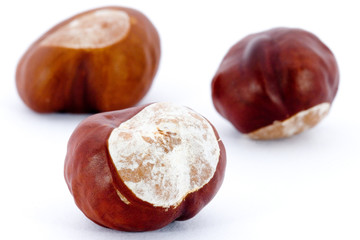 Closeup of Chestnuts  on white background