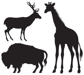 Bison, Deer, Giraffe, animals silhouettes