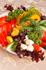 fresh vegetables on the plate