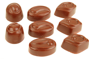 flower of dahlia on white background