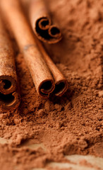 Cinnamon Sticks with Cocoa