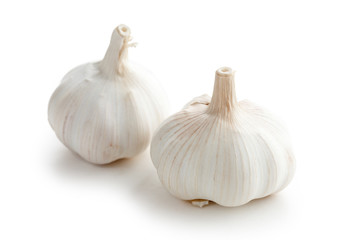 fresh garlic on white background