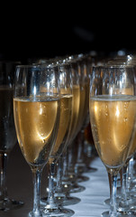 Champagne in glasses